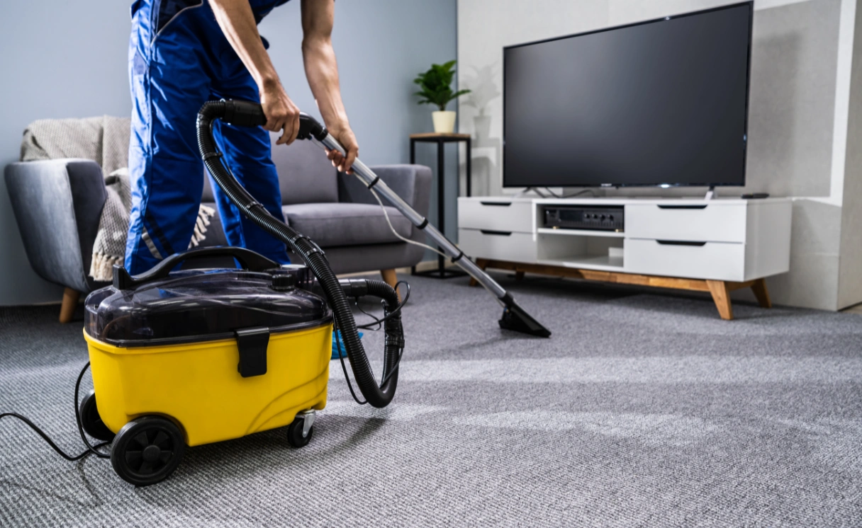 Extract Curtain Cleaning Forest Hill Contact Office
